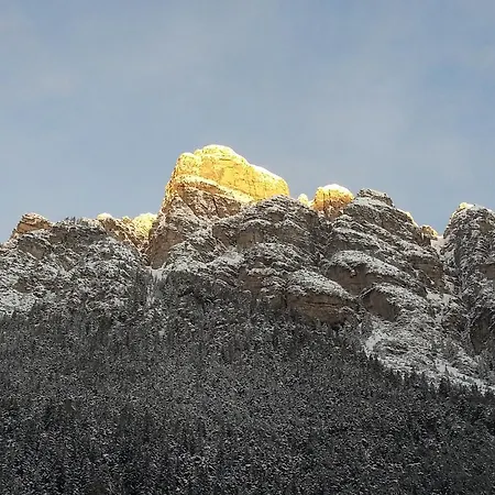 Familie Tost Тринс